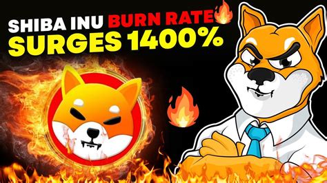 Shiba Inu Coin Price Plunges Burn Rate Surges Youtube