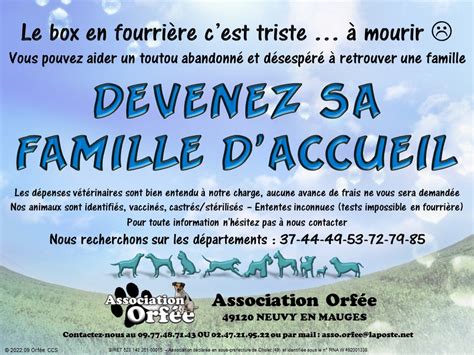 ASSOCIATION ORFEE Recherche Familles D Accueil Chiens GRAND OUEST