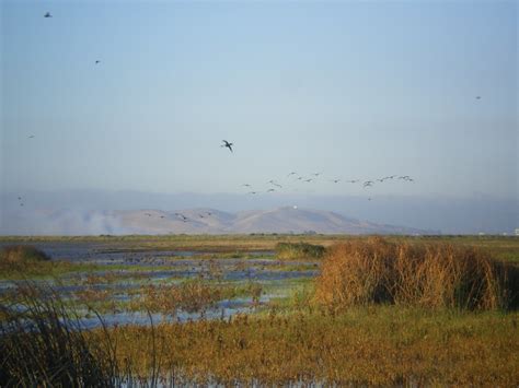 Suisun Landscapes San Francisco Estuary Institute