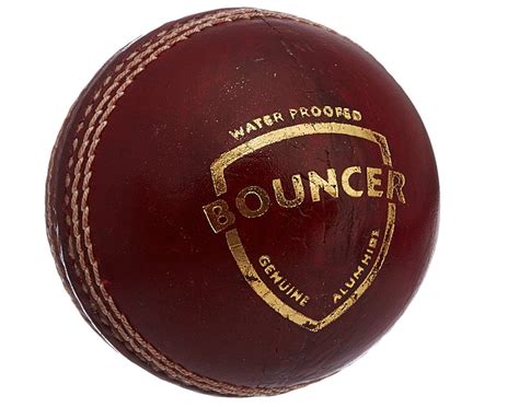 SG Cricket Ball Bouncer – Only Sports Global