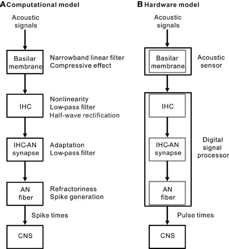 A A Simple Block Diagram Of The Peripheral Auditory System Without