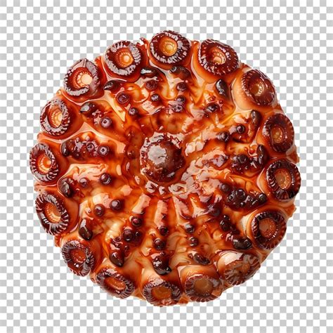 Pulpo A La Gallega Png Con Fondo Transparente Archivo Psd Premium