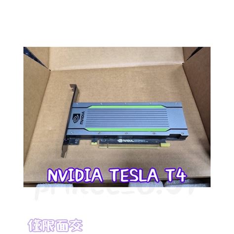 NVIDIA Tesla T4 GPU Computing Processor | lupon.gov.ph