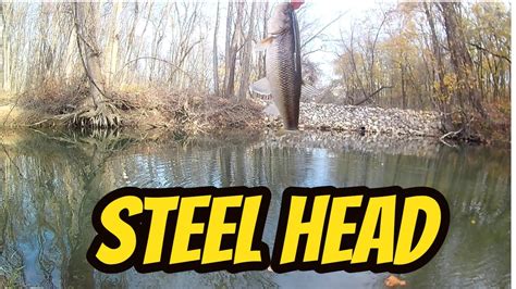 C U C H I Trail Creek Steelhead Fishing Youtube