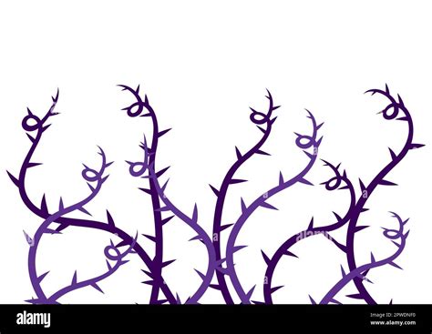 vine drawings  thorns