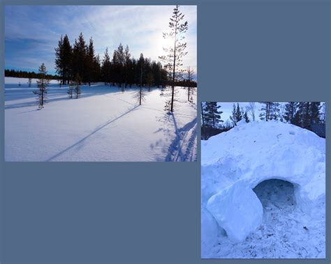 Alison's epic adventure to the Arctic to raise money for Reading Force