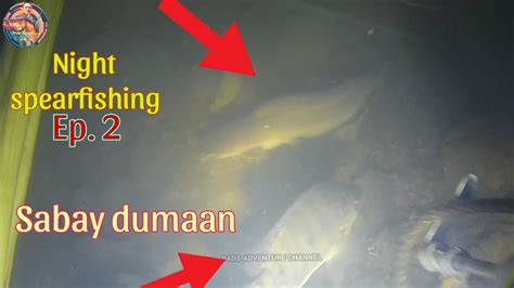 NIGHT SPEARFISHING DAMING TILAPIA SA ILOG O SAPA NIGHT DIVE EP 2