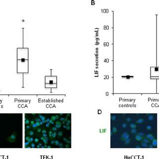 LIF LIFR And Gp130 Immunohistochemical Expression In CCA And