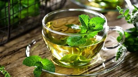 Infusiones De Menta Frescas Y Saludables Remedio Natural