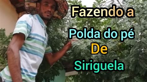 Fazendo a polda do pé de siriguela YouTube