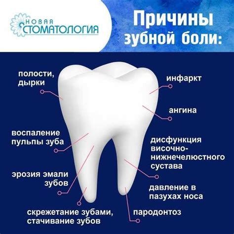 Болит зуб: что делать? 7 проверенных способов избавиться от зубной боли