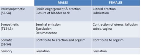 Drugs And Sex Flashcards Quizlet