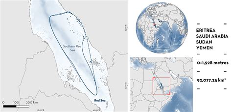 Southern Red Sea Isra Important Shark Ray Areas