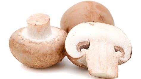 Mushroom 101 | The Basics - Clean & Delicious with Dani Spies