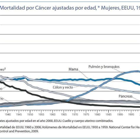 Tasas De Mortalidad Por C Ncer En Mujeres Ajustadas Por Edad Eeuu