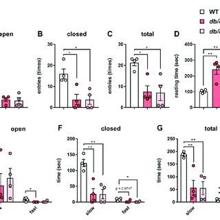 Tgf Infusion Has No Effect On The Low Locomotor Activity Of Db Db