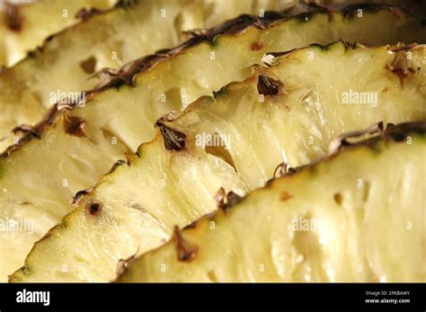 Pineapple Ananas Comosus Ananas Sativus Sliced Pineapple Stock