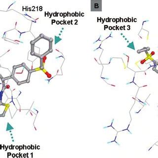 A Binding Mode Of Ligand 5 B Binding Mode Of Ligand 7 Ligands Are