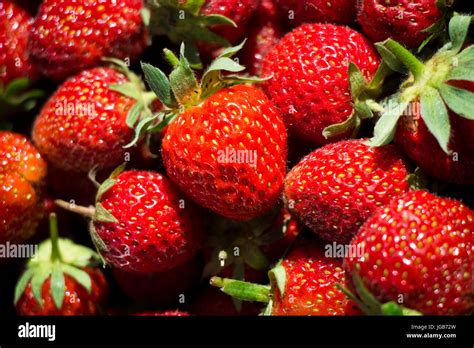 Healthy strawberry vitamin c hi-res stock photography and images - Alamy