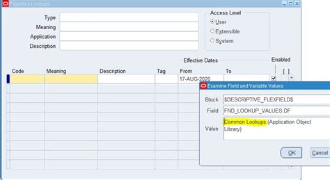 Oracle Application S Blog How To Enable Dff In Lookup