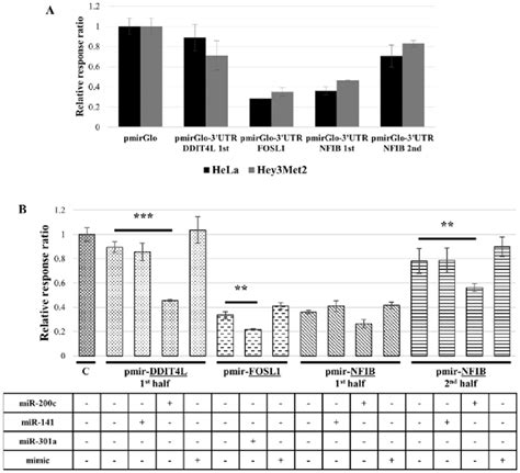 Luciferase reporter gene assay on two cell lines known to express low ...