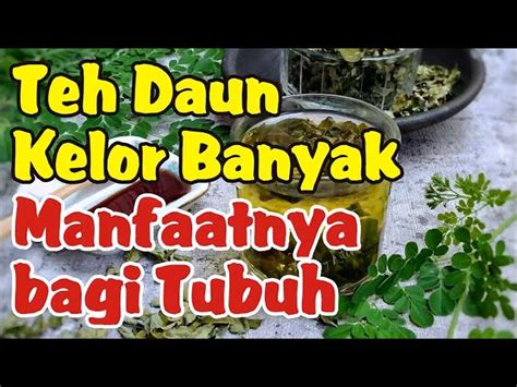 Ketahui 7 Manfaat Teh Daun Kelor Kering Untuk Kesehatan Yang Bikin Kamu