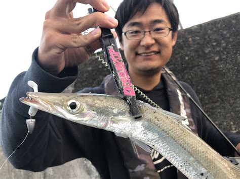 ルアーで狙うカマスの釣り方解説！ は厳禁！？ 釣りingドットコム