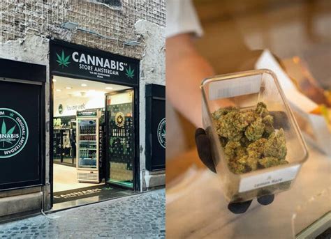 Amsterdam Might Not Let Tourists Buy Cannabis From Their Coffee Shops