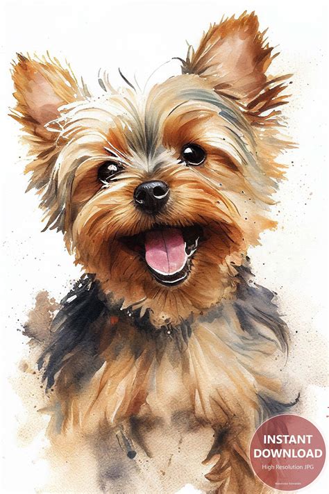 Yorkie Drawing Simple