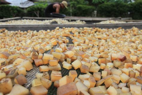 Produksi Kerupuk Kulit Terkendala Cuaca Antara Foto