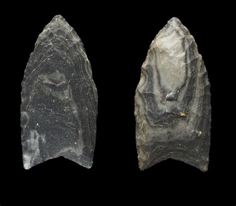 Obsidian Clovis Point Usa Circa 11000bce Made From Black Tank