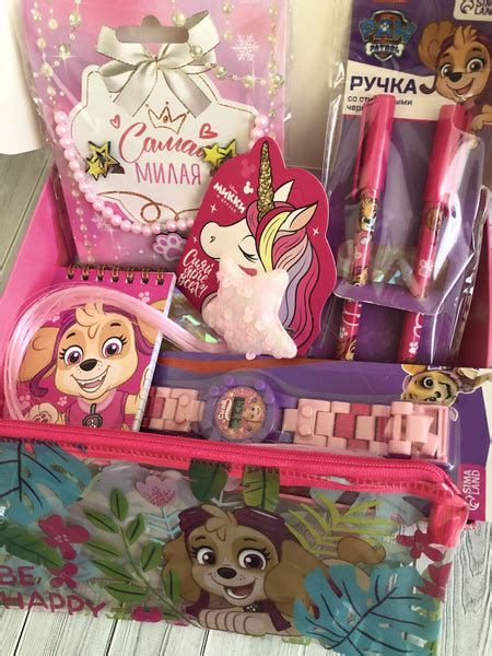 Подарок на день рождения для девочки, детям / Скай / подарочный набор ...