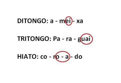 Biscoito É Ditongo Tritongo Ou Hiato - A palavra biscoito é ditongo tritongo ou hiato ...