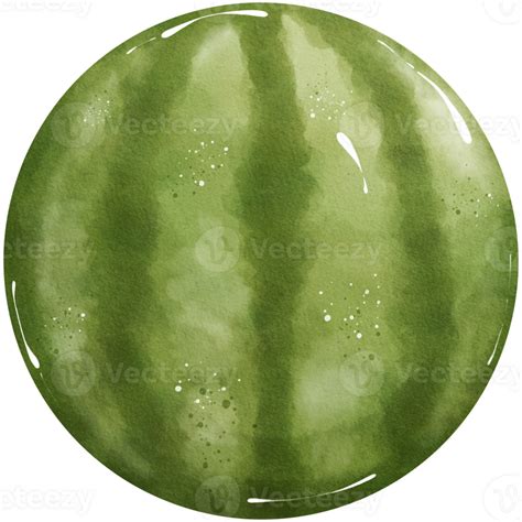 Watercolor Watermelon Illustration 47824893 Png