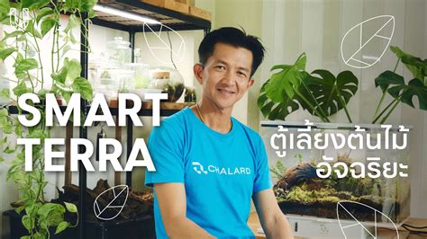 SMARTTERRA ตู้เลี้ยงต้นไม้ผ่อนคลายเมืองไร้สวน - Urban Creature