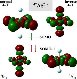 Ag Cation Shows A Remarkable Flexibility Of Its First Coordination