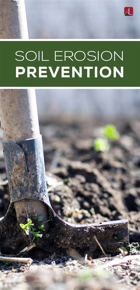 Regional Soil Erosion Prevention Tips