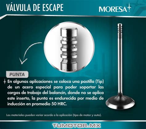 Datos Sobre Las V Lvulas De Escape Tumotor Mx