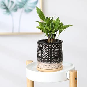 Amazon Aomryom Inch Small Plant Pots With Bamboo Saucer And