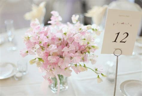 Friday Flowers Sweet Pea Elizabeth Anne Designs The Wedding Blog