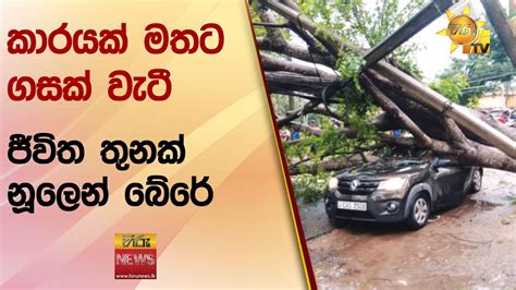 කාරයක් මතට ගසක් වැටී ජීවිත තුනක් නූලෙන් බේරේ Hiru News Youtube