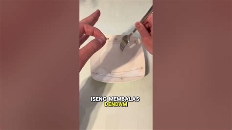 balas suara bising  nyamuk shorts lucu shortsviral youtube