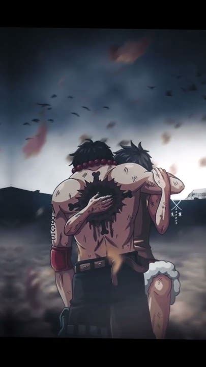 Luffy 7 Years [edit] Luffy Sabo Ace Dragon Shanks Anime Onepiece Youtube