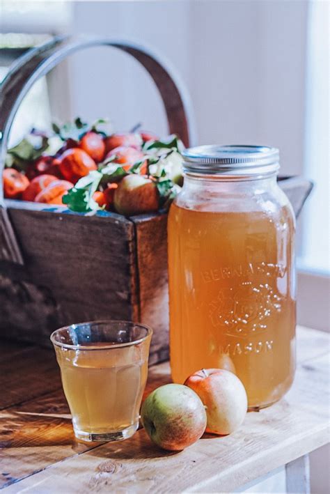 Best Homemade Apple Juice Recipe Simple And Easy 2023