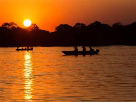 Pantanal Brazil Travel Guide Planetaexo