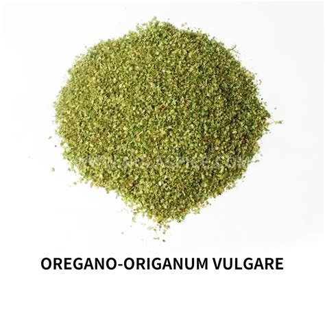 Oregano Origanum Vulgare HOLASPICE