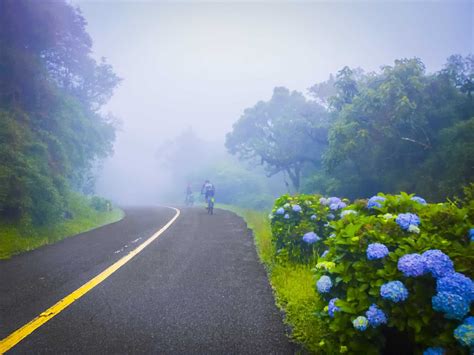 Estrada Da Graciosa Em Curitiba Vale A Pena Como Aproveitar