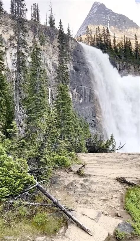 How To Hike The Berg Lake Trail In Mount Robson Provincial Park Artofit