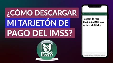 Imprime F Cilmente Tu Tal N De Pago Del Imss Una Gu A Paso A Paso