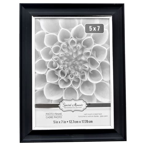 Elegant Silver Photo Frame | DollarTree.com